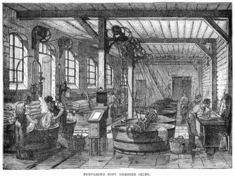 Preparing Soft Dressed Skins (engraving) | Obraz na stenu