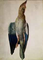 Blue Crow, 1512 (w/c & gouache on vellum) | Obraz na stenu