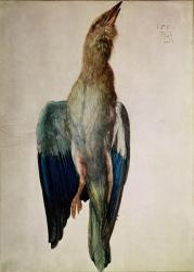 Blue Crow, 1512 (w/c & gouache on vellum) | Obraz na stenu