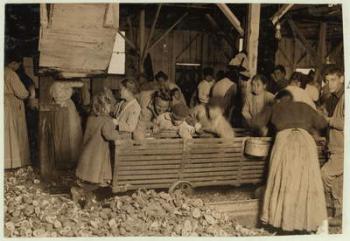 Bill May, aged 5 who makes 15 cents a day, in the shucking shed at Barataria Canning Company, Biloxi, Mississippi, 1911 (b/w photo) | Obraz na stenu