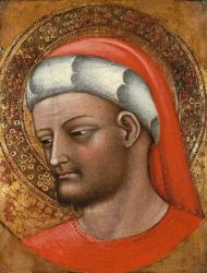 Head of St. Cosmas | Obraz na stenu