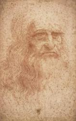 Self portrait, c.1512 (red chalk on paper) | Obraz na stenu