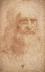 Self portrait, c.1512 (red chalk on paper) | Obraz na stenu