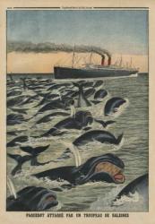 A shoal of whales attacking a liner, back cover illustration from 'Le Petit Journal', supplement illustre, 17th August 1913 (colour litho) | Obraz na stenu
