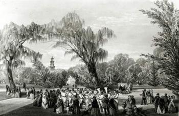 Botanical Gardens, Cape Town, print made by W. Simpson, c.1850s (litho) | Obraz na stenu