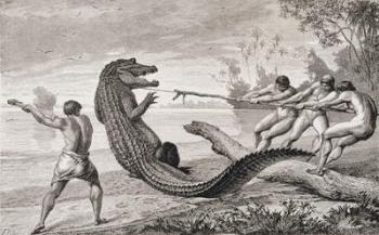 Catching an alligator with lasso, from 'The Amazon and Madeira Rivers', by Franz Keller, 1874 (engraving) | Obraz na stenu