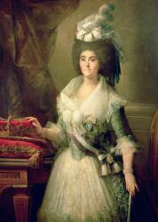 Portrait of Queen Maria Luisa (1751-1819) (oil on canvas) | Obraz na stenu