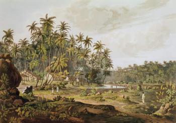 View near Point du Galle, Ceylon, engraved by Daniel Havell (1785-1826) published in 1809 (coloured engraving) | Obraz na stenu