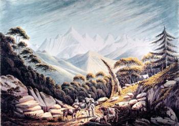 Nepalese Herdsmen in the Himalayas, 1826 (w/c on paper) | Obraz na stenu