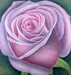 Big Rose, 2003 (oil on canvas) | Obraz na stenu