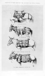 Saddles and Pads Used by the Abyssinian Field Force (litho) | Obraz na stenu