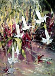 Daturas in Monet'sGarden | Obraz na stenu
