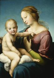 Niccolini-Cowper Madonna, 1508 (oil on panel) | Obraz na stenu