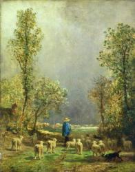 Sheep watching a Storm (oil on panel) | Obraz na stenu