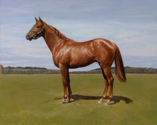 Colt, 2011 (oil on canvas) | Obraz na stenu