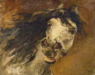Head of a Horse (oil on canvas) | Obraz na stenu