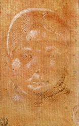 Head of a young girl (chalk and ink on paper) | Obraz na stenu