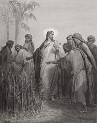 Jesus and His Disciples in the Corn Field, illustration from Dore's 'The Holy Bible', engraved by Pannemaker, 1866 (engraving) | Obraz na stenu