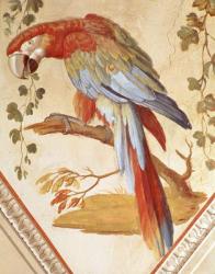 A Parrot (mural) | Obraz na stenu