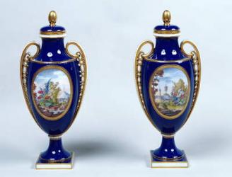 A Pair of Sèvres Vases with decorative floral medallions (porcelain) | Obraz na stenu