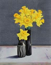 Still Life Daffodils (watercolour on paper) | Obraz na stenu