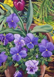 Flowerpots with Pansies, 2007 (w/c on paper) | Obraz na stenu