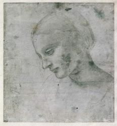 Head of a Young Woman or Head of the Virgin, c.1490 (silverpoint on paper) | Obraz na stenu