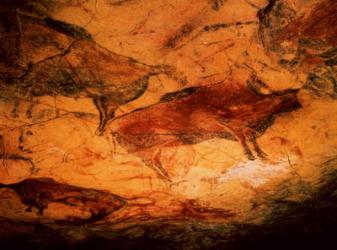 Bison from the Caves at Altimira, c.15000 BC (cave painting) | Obraz na stenu