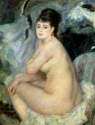 Nude, or Nude Seated on a Sofa, 1876 | Obraz na stenu