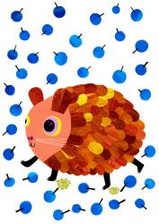Guinea Pig and Blueberries | Obraz na stenu
