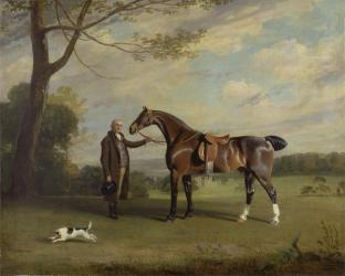 The Earl of Shrewsbury's Groom Holding a Hunter, c.1800 (oil on canvas) | Obraz na stenu