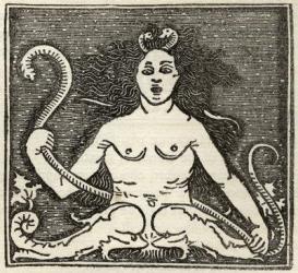 Figure of Medusa, from 'A Catalogue of a Collection of Engravings, Etchings and Woodcuts', by Richard Fisher, published 1879 (litho) | Obraz na stenu