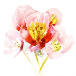 Tulips, 2017, (watercolour) | Obraz na stenu