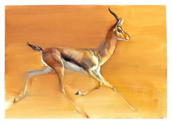 Arabian Gazelle, 2010 (oil on paper) | Obraz na stenu