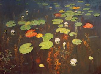 Water Lilies 1895 (oil on canvas) | Obraz na stenu