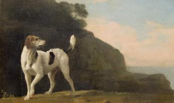 A Foxhound, c.1760 (oil on paper laid on board) | Obraz na stenu