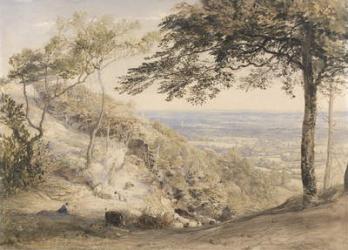 Wilmot's Hill, Kent (w/c, b/c and chalk on paper) | Obraz na stenu