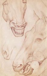 Heads of Horses, from the Vallardi Album (pen & ink on paper) | Obraz na stenu