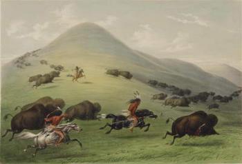 The Buffalo Hunt (oil on canvas) | Obraz na stenu
