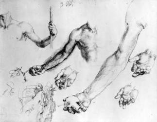 Studies for the arm of Adam, 1504 (pen & ink on paper) | Obraz na stenu