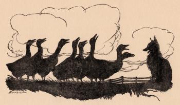 Illustration by Arthur Rackham from Grimm's Fairy Tale, The Fox and the Geese. | Obraz na stenu