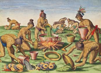 Preparations for a Feast, from 'Brevis Narratio..', engraved by Theodore de Bry (1528-98) published in Frankfurt, 1591 (coloured engraving) | Obraz na stenu