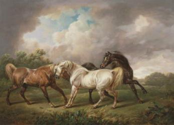 Three Horses in a Stormy Landscape (oil on canvas) | Obraz na stenu