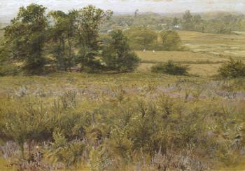 The Furze Field, 19th century (watercolour) | Obraz na stenu