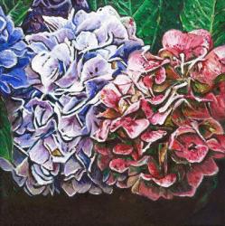 Hydrangeas, 2010, (oil on canvas) | Obraz na stenu
