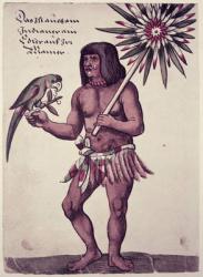 Amazon Indian, engraved by Theodore de Bry (1528-98) (coloured engraving) | Obraz na stenu