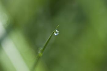 Droplet | Obraz na stenu