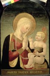 Madonna and Child with Pomegranate (tempera on panel) | Obraz na stenu