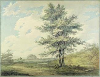 Landscape with Trees and Figures, c.1796 (w/c over graphite on paper) | Obraz na stenu