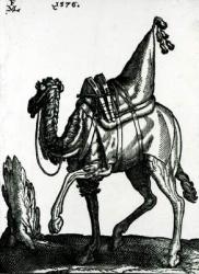 Camel (woodblock) | Obraz na stenu